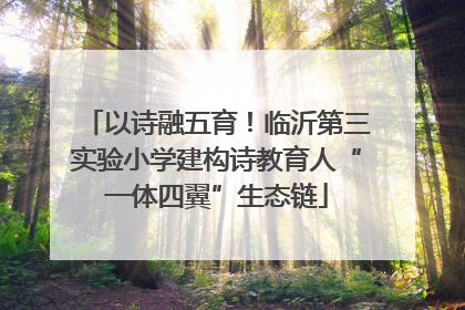 以诗融五育！临沂第三实验小学建构诗教育人“一体四翼”生态链