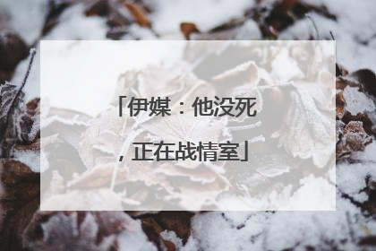伊媒：他没死，正在战情室