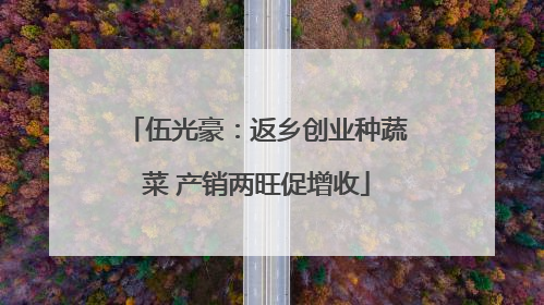 伍光豪：返乡创业种蔬菜 产销两旺促增收