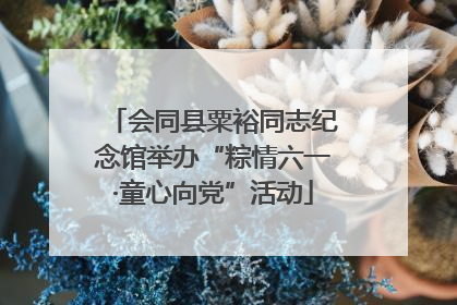 会同县粟裕同志纪念馆举办“粽情六一·童心向党”活动