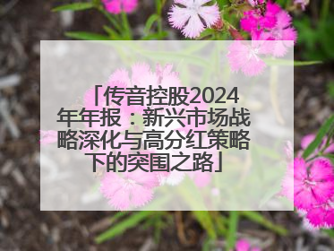 传音控股2024年年报：新兴市场战略深化与高分红策略下的突围之路