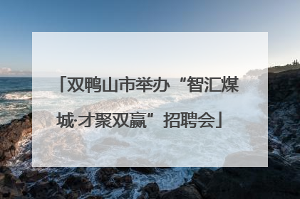 双鸭山市举办“智汇煤城·才聚双赢”招聘会