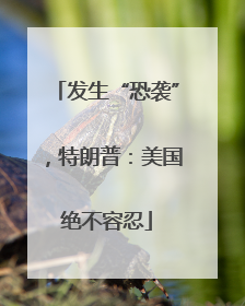 发生“恐袭”，特朗普：美国绝不容忍