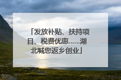 发放补贴、扶持项目、税费优惠……湖北喊您返乡创业