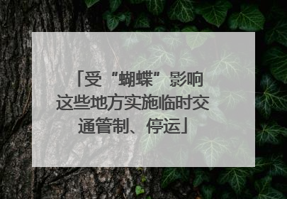 受“蝴蝶”影响 这些地方实施临时交通管制、停运