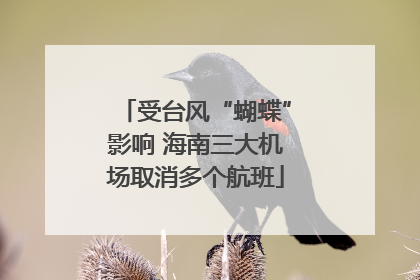 受台风“蝴蝶”影响 海南三大机场取消多个航班