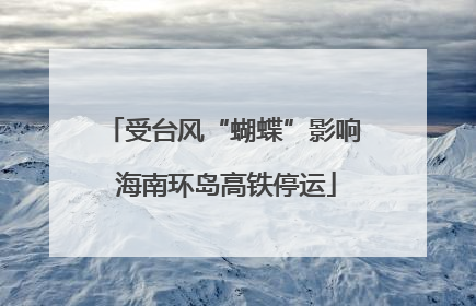 受台风“蝴蝶”影响 海南环岛高铁停运