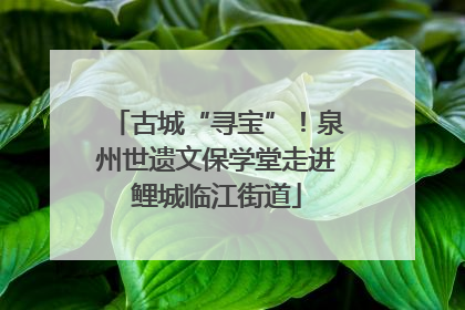 古城“寻宝”！泉州世遗文保学堂走进鲤城临江街道