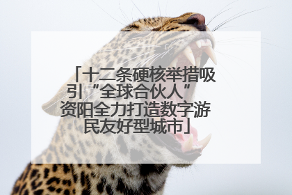 十二条硬核举措吸引“全球合伙人” 资阳全力打造数字游民友好型城市
