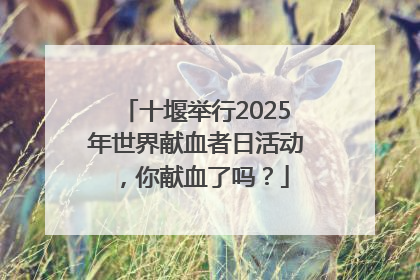 十堰举行2025年世界献血者日活动，你献血了吗？