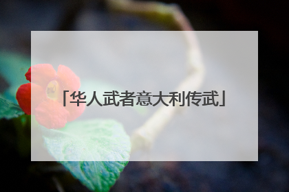 华人武者意大利传武