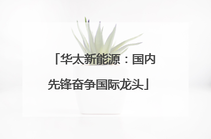 华太新能源：国内先锋奋争国际龙头