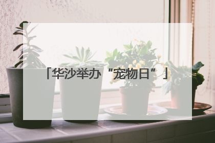 华沙举办“宠物日”