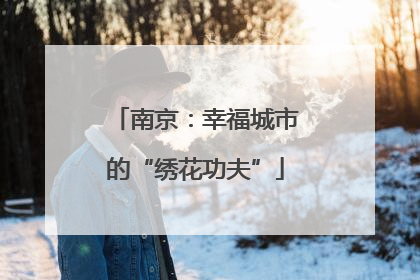 南京：幸福城市的“绣花功夫”