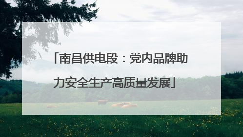 南昌供电段：党内品牌助力安全生产高质量发展