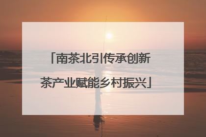 南茶北引传承创新 茶产业赋能乡村振兴