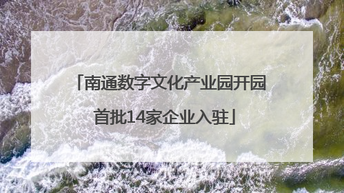 南通数字文化产业园开园 首批14家企业入驻