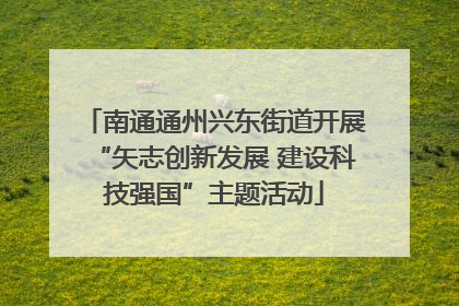南通通州兴东街道开展“矢志创新发展 建设科技强国”主题活动