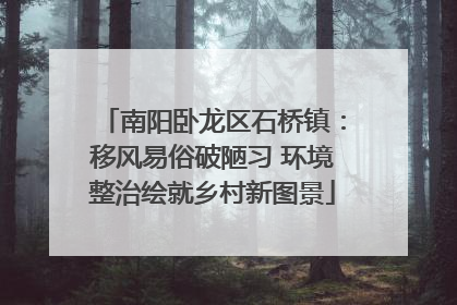 南阳卧龙区石桥镇：移风易俗破陋习 环境整治绘就乡村新图景