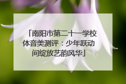 南阳市第二十一学校体音美测评：少年跃动间绽放艺韵风华