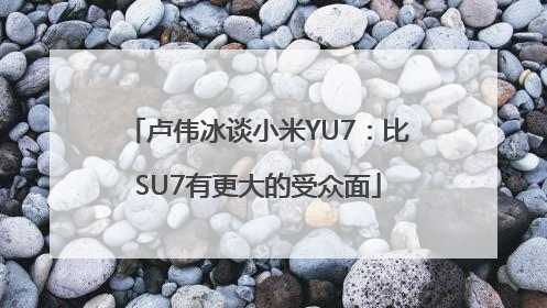 卢伟冰谈小米YU7：比SU7有更大的受众面