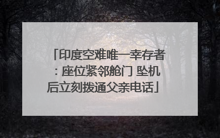 印度空难唯一幸存者：座位紧邻舱门 坠机后立刻拨通父亲电话
