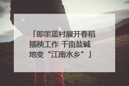 即墨蓝村展开春稻插秧工作 千亩盐碱地变“江南水乡”