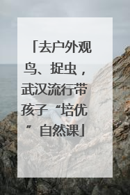 去户外观鸟、捉虫，武汉流行带孩子“培优”自然课