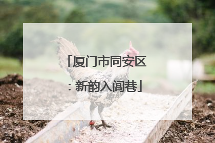 厦门市同安区：新韵入闾巷