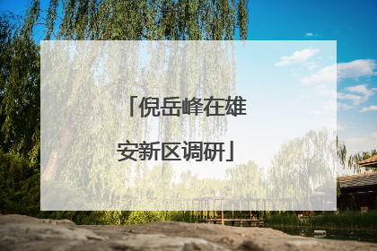 倪岳峰在雄安新区调研