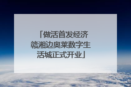 做活首发经济 赣湘边奥莱数字生活城正式开业