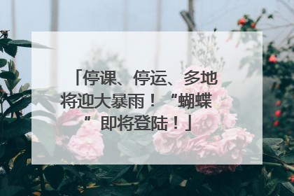 停课、停运、多地将迎大暴雨！“蝴蝶”即将登陆！