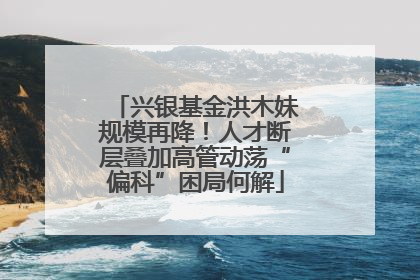 兴银基金洪木妹规模再降！人才断层叠加高管动荡“偏科”困局何解
