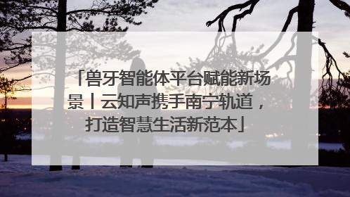 兽牙智能体平台赋能新场景丨云知声携手南宁轨道，打造智慧生活新范本