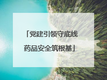 党建引领守底线 药品安全筑根基