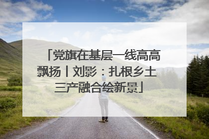 党旗在基层一线高高飘扬丨刘影：扎根乡土 三产融合绘新景