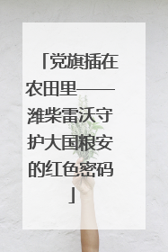 党旗插在农田里——潍柴雷沃守护大国粮安的红色密码