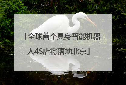 全球首个具身智能机器人4S店将落地北京