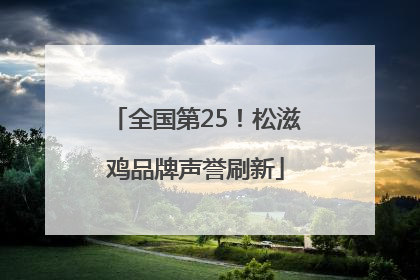 全国第25！松滋鸡品牌声誉刷新