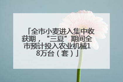 全市小麦进入集中收获期，“三夏”期间全市预计投入农业机械18万台（套）