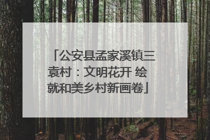 公安县孟家溪镇三袁村：文明花开 绘就和美乡村新画卷