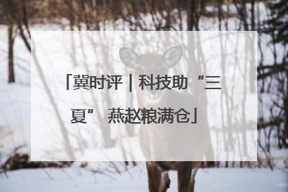 冀时评｜科技助“三夏” 燕赵粮满仓