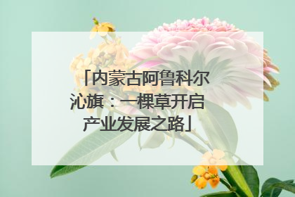 内蒙古阿鲁科尔沁旗：一棵草开启产业发展之路