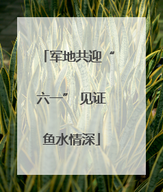 军地共迎“六一” 见证鱼水情深