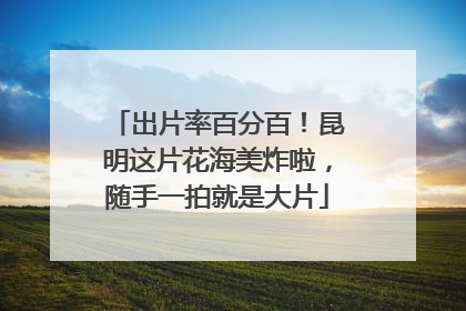 出片率百分百!昆明这片花海美炸啦,随手一拍就是大片