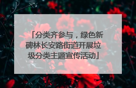 分类齐参与，绿色新碑林长安路街道开展垃圾分类主题宣传活动