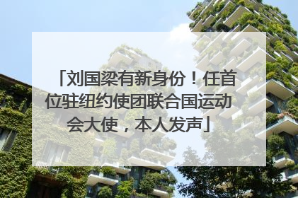 刘国梁有新身份！任首位驻纽约使团联合国运动会大使，本人发声