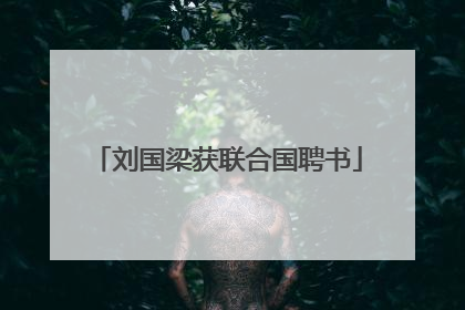 刘国梁获联合国聘书