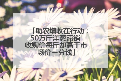 助农增收在行动：50万斤洋葱滞销 收购价每斤却高于市场价三分钱