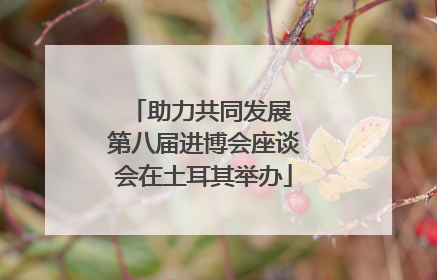 助力共同发展 第八届进博会座谈会在土耳其举办